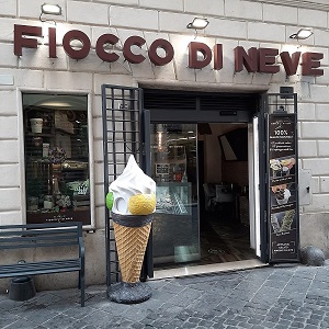 ④ジFIOCCO DI NEVE